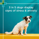 PAW by Blackmores Complete Calm Chews pour petits chiens - 75g