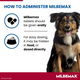Milbemax Allwormer For Dogs Over 5kg - 2 Tablets Milbemax Allwormer For Dogs Over 5kg - 2 Tablets