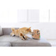 Outward Hound Hide A Squirrel Plush Puzzle Toy | 4 Sizes Available - Image 7 of 25