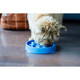 Outward Hound Fun Feeder Slow Bowl for Dogs - Image 9 of 12
