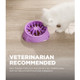 Outward Hound 3-in-1 Up Height Adjustable Dog Bowl - Purple