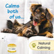Pet Relax Natural Distract & Relax Diffuser Set for Pets - Image 5 of 7