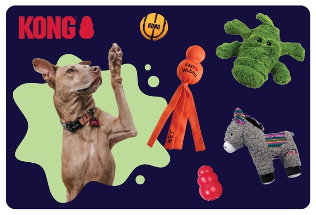 NEW KONG TOYS. Shop plushies, boredom busters, fetch toys and so much more because your best friend deserves the best. 