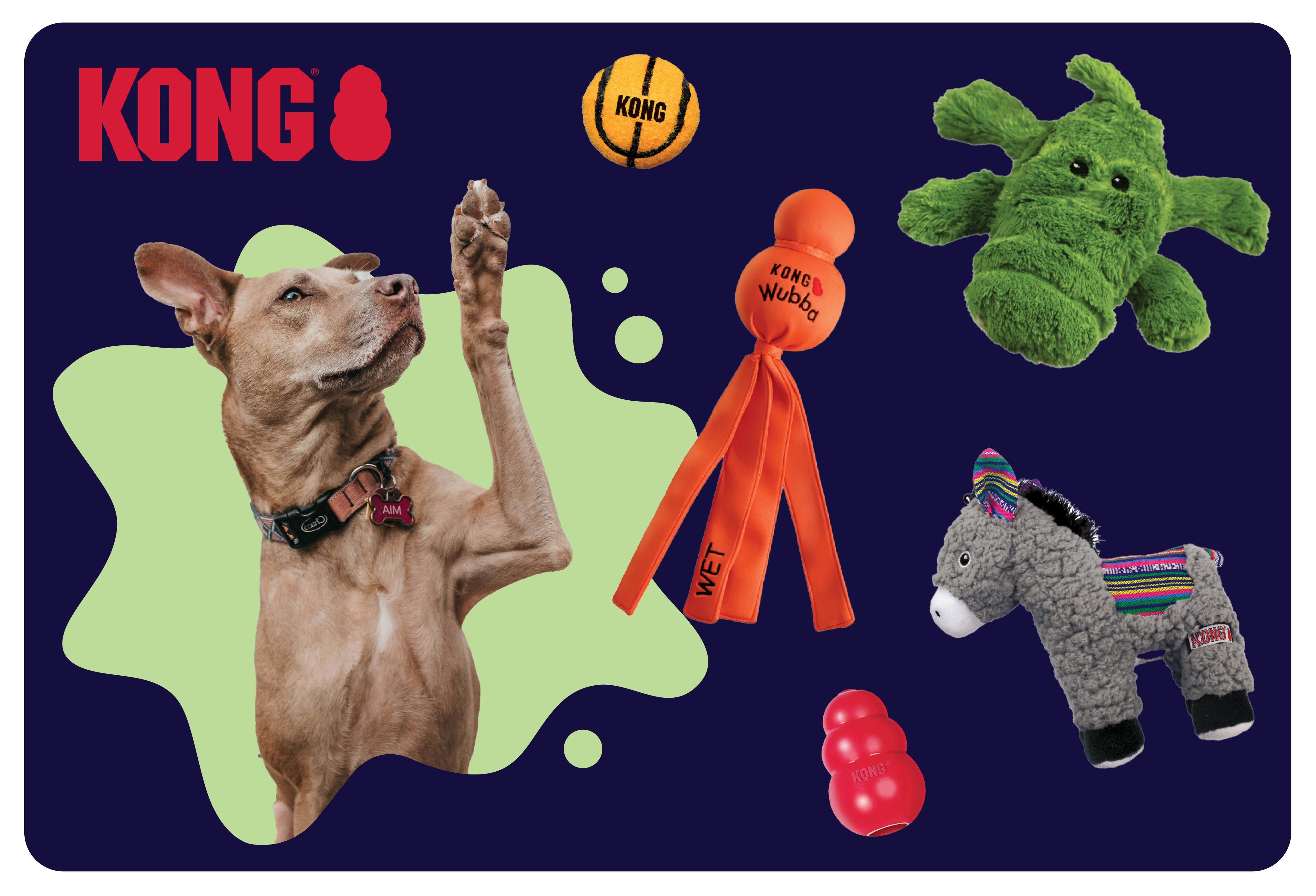 NEW KONG TOYS. Shop plushies, boredom busters, fetch toys and so much more because your best friend deserves the best. 