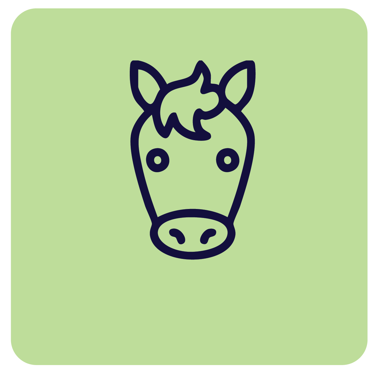 Shop horse supplies at Pacific Pet Supplies.