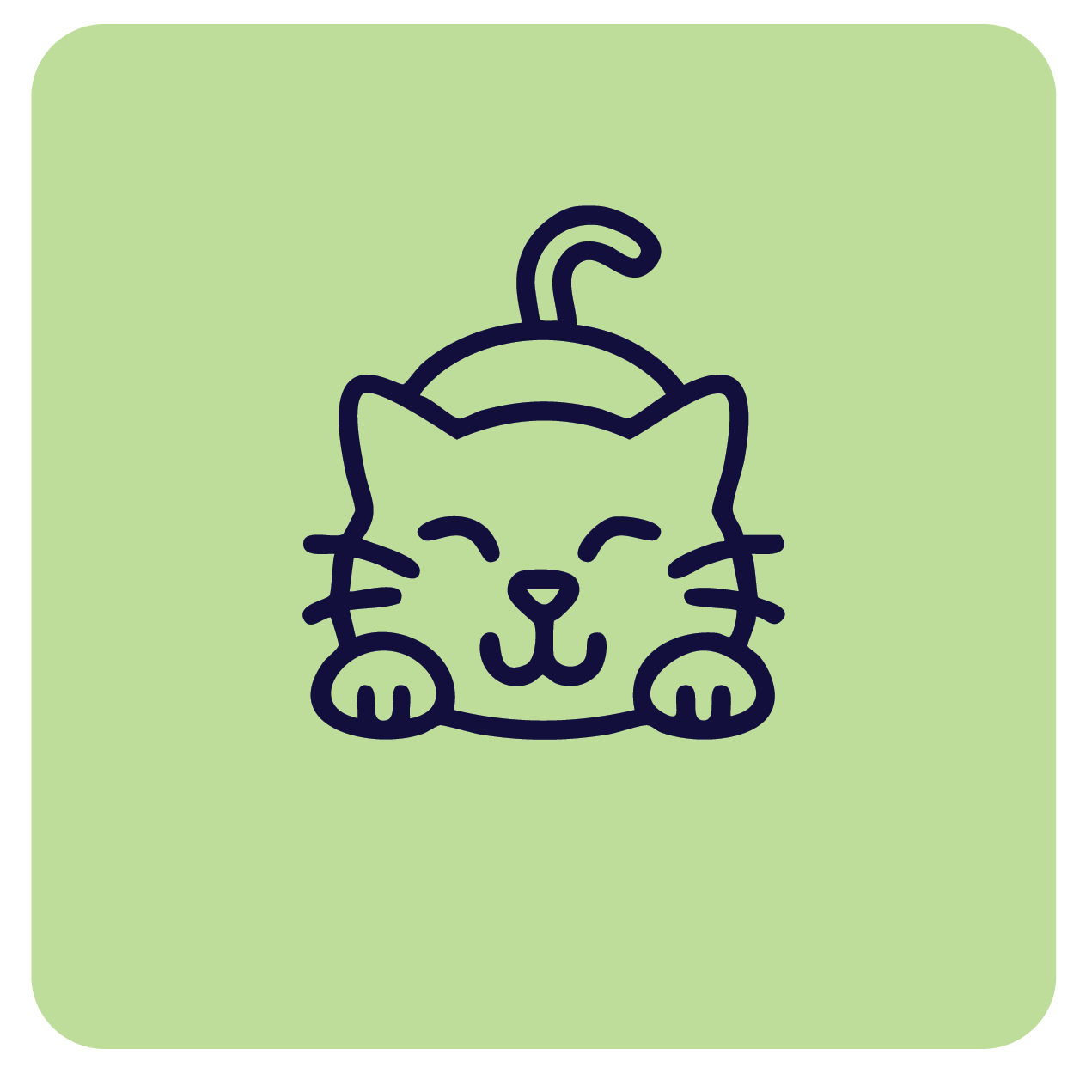 Shop cat supplies from vet-grade brands; Revolution, Bravecto, Feliway, and more at Pacific Pet Supplies.