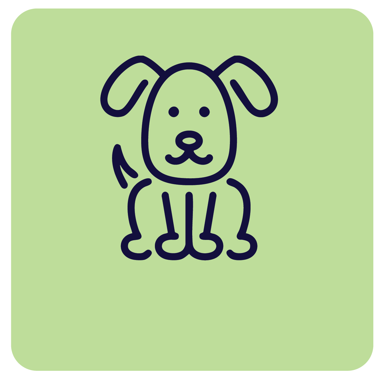 Shop dog treatments and supplies from vet-grade brands; Nexgard, Simparica, Adaptil, and more at Pacific Pet Supplies.