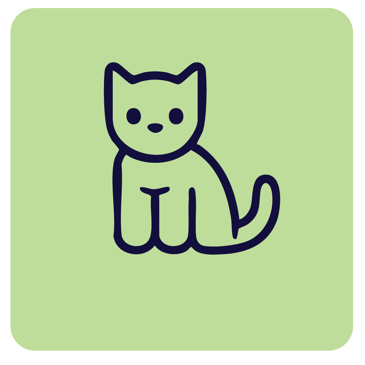 Shop kitten supplies at Pacific Pet Supplies.