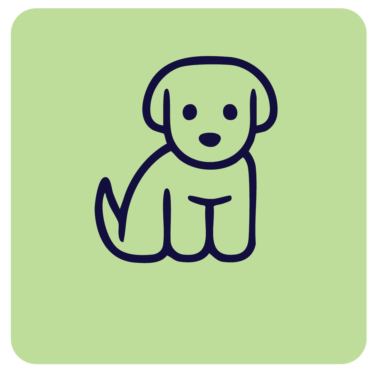 Shop puppy supplies at Pacific Pet Supplies.