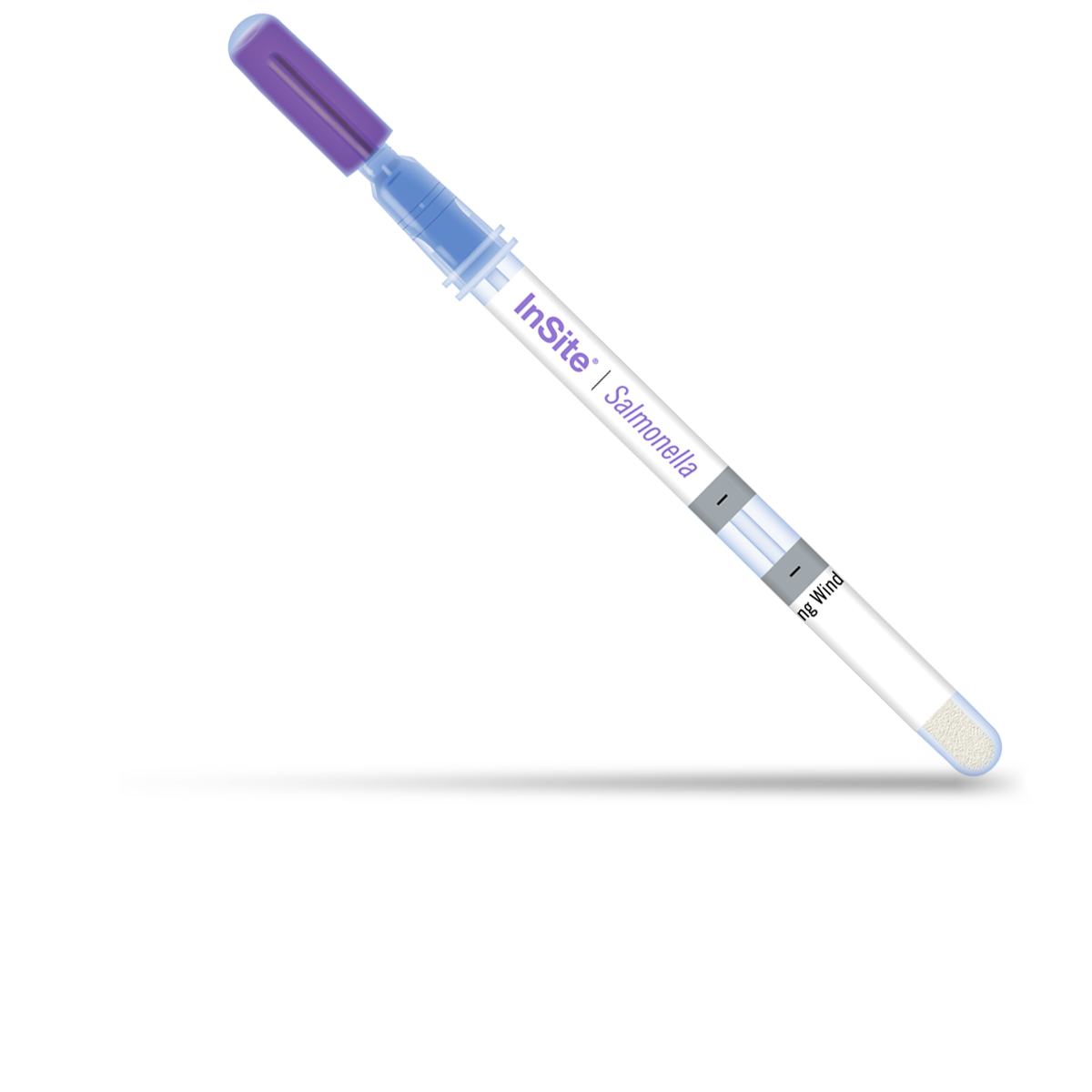 Salmonella screening test