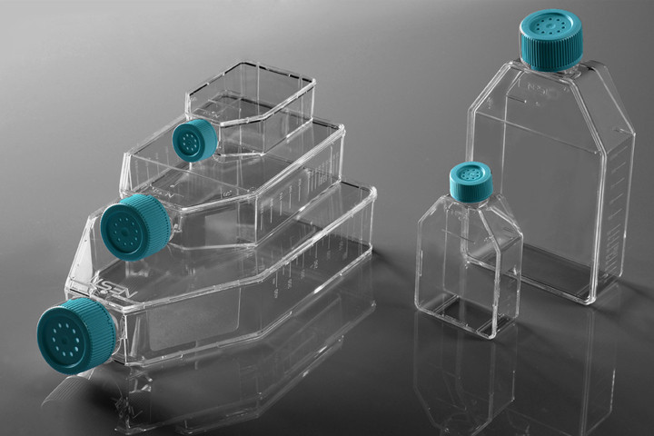Cell Culture flask