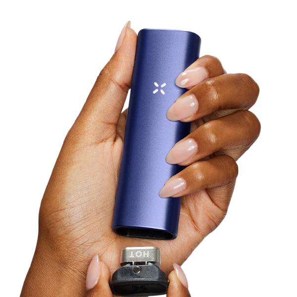 buy pax vape online Plus Complete Kit Flavor:Energy ICE Disposable Pen Raz Violet Flavor Violet