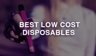 Best Low Cost Disposable Vapes