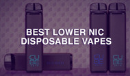 Lower Nicotine Disposable Vapes