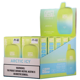 Arctic Icy Flum Pebble Disposable Vape 10pk