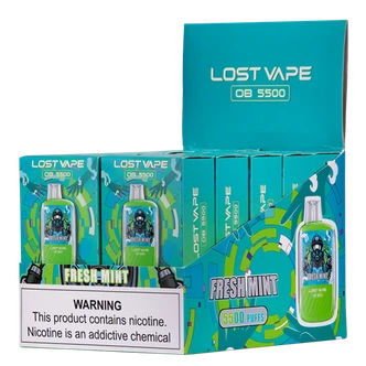 Fresh Mint - Lost Vape OB5500 10-Pack