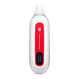 Strawberry Watermelon FLONQ Max Smart Vape Front View