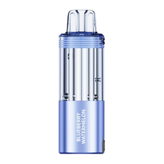 Blueberry Watermelon FOGER Switch Pro Disposable-Flavor