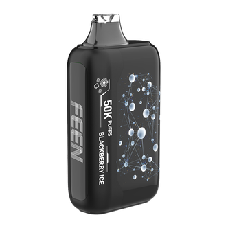Blackberry Ice FEEN 50K Vape
