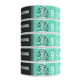 5 pack of 9mg Refreshing Chill ALP Pouches