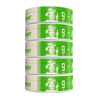 5 pack of 9mg Spearmint ALP Pouches
