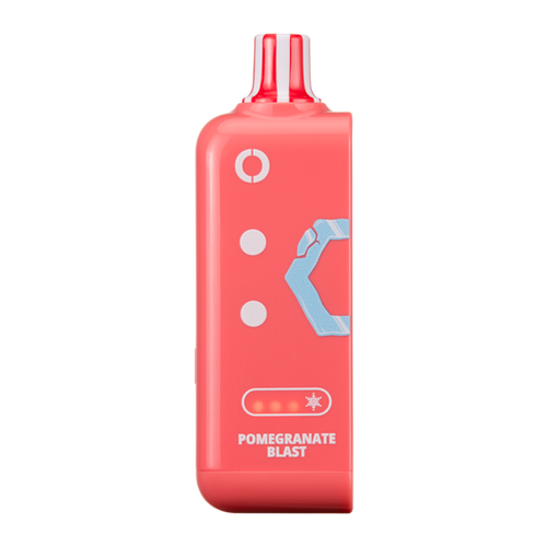 Pomegranate Blast ICE OFF STAMP X-Cube Disposable