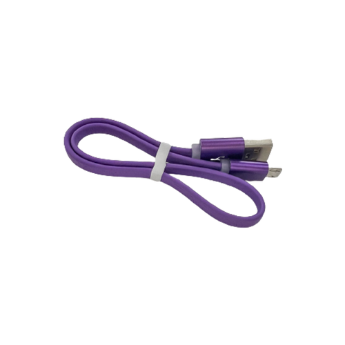 Micro USB Charger