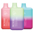 Nicotine Free Elf Bar Vape Sampler Pack