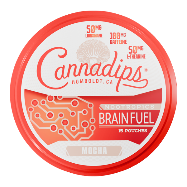 Mocha CANNADIPS Brain Fuel Pouches