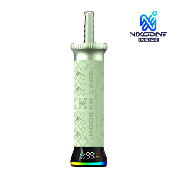 Cool Mint Hookah Labs 80K