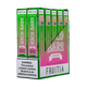 Watermelon Bubble Gum Esco Bar Fruitia Vape Bundle