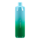 Cool Mint Evodrip Vape