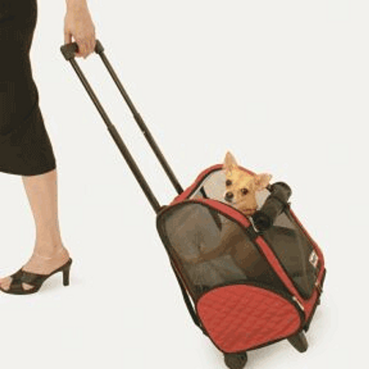 Dogline Designer Pet Carrier - Red