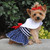 Nautical Harness Dress with Red Ribbon and Matching Leash