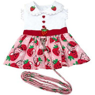 Strawberry Picnic Harness Dress with Matching leash