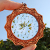 LaserTrees FutureEyes - 12 Sided Star Hardwood Pendant