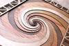 LaserTrees Double Fibonacci Spiral Four Layer Wall Art - Maple, Birch, Red Oak, Walnut 