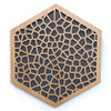 LaserTrees Acoustic Art Hexagon Panel in Voronoi Design for Studio Soundproofing
