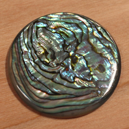 abalone.jpg