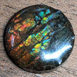 ammolite256.jpg