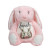 Personalised Pink Bunny Rabbit Plush Teddy (21cm/29cm) - TS-ITM-1192