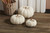 Medium Cream Cotton Pumpkin