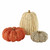 Medium Orange Corn Husk Pumpkin