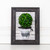 Boxwood Topiary Green/Black 9.5