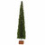 Large Boxwood Topiary