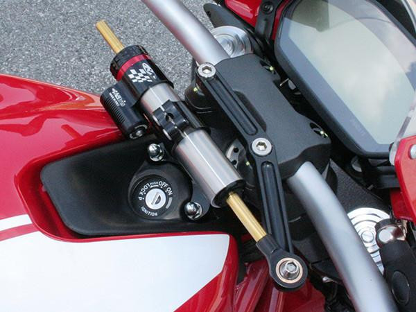 Motorcycle Steering Dampers Ducati Monster 821 (14-20) | Matris