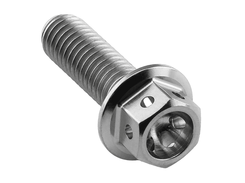 Pro-Bolt Titanium Race Drilled Hex Flanged M6x20