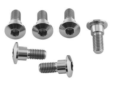 Titanium Disc Bolt M8x(1.25mm)x22mm To Fit Suzuki Pack x6