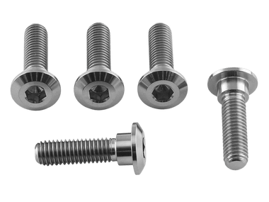 Titanium Disc Bolt M8x(1.25mm)x30mm To Fit Kawasaki Pack x5