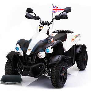 Spare Body Part for 12v Electric AQuad